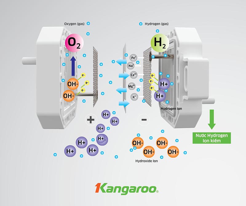 Máy lọc nước Kangaroo ion kiềm KG100MED