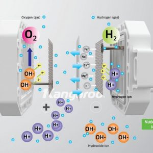 Kangaro Hydrogen 1024x680