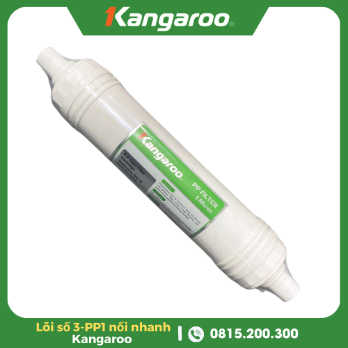 loi so 3 pp1 noi nhanh kangaroo